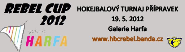 Hokejbalový turnaj přípravek Rebel Cup 19.5.2012
